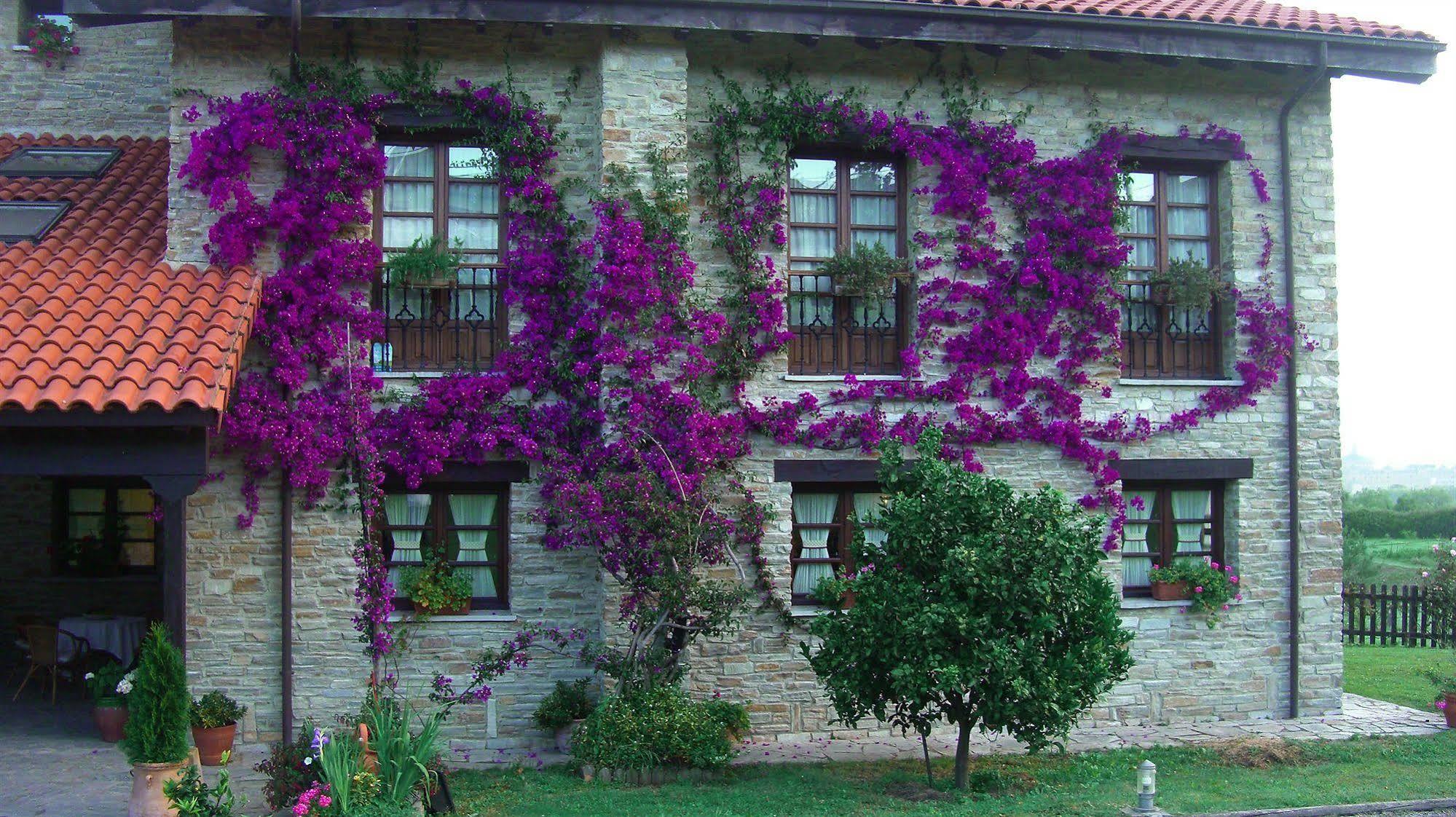 Hotel Rural Casona De Сефонтес Экстерьер фото